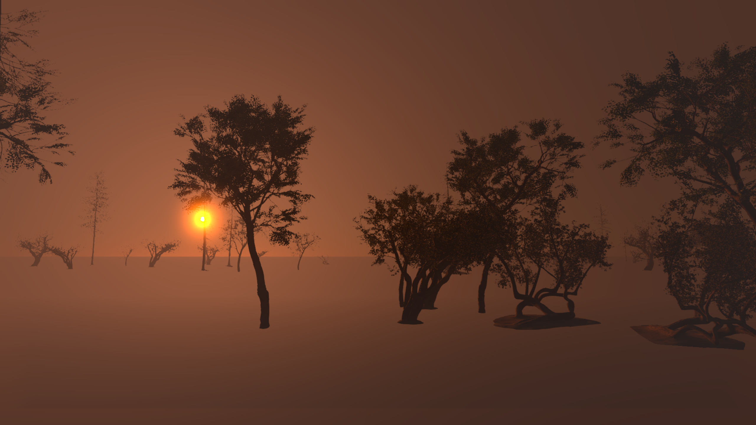 Forest at dusk